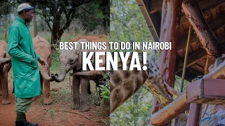 8 Best Places to Visit in Nairobi Kenya - Travel Video