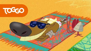 Zig und Sharko ☀😎 Sonnenbaden 😎☀ Volledige aflevering in HD