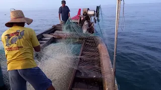 🛑Malam tidak jadi beban||Pasang dan Tarik jaring waktu dan cuaca bukan menjadi halangan (GILL NET)