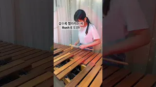 갈수록 빨라지는곡이 있다? Rush E play Marimba #shorts #viral #rush E #속주