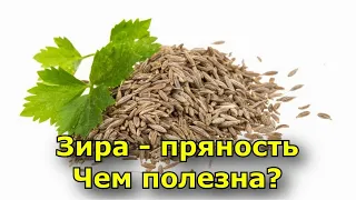 Зира - пряность. Чем полезна и где используется?