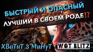 🔴WoT Blitz | ЛУЧШИЙ ТАНК ДЛЯ НАГИБА В СВОЁМ РОДЕ⁉️ БЫСТРЫЙ И ОПАСНЫЙ🔥