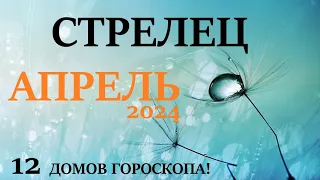 СТРЕЛЕЦ ♐ АПРЕЛЬ 2024 🚀 Прогноз на месяц таро расклад 👍Все знаки зодиака! 12 домов гороскопа!