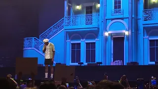 Tyler, the Creator · Call Me If You Get Lost Tour · Houston, TX (1080HD 60fps)
