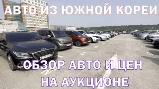 Авто из Южной Кореи. Новые цены автомобилей на аукционе.  #автоизкореи #hyt_trading #car #korea