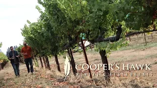 From Grape to Glass: Chef Tyler Florence and Winemaker Rob Warren