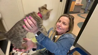Stacey & Mike's Helping Hands - Oregon Humane Society