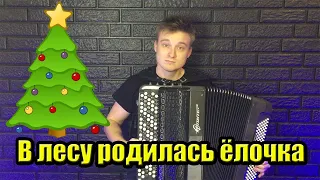 🎄❄️🎄В ЛЕСУ РОДИЛАСЬ ЕЛОЧКА🎄❄️🎄