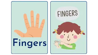 Body parts | Parts of body | Human body parts for kids