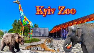 Киевский Зоопарк 🦁🐯 Kyiv Zoo