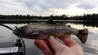 Using the SAVAGE GEAR 3D Pulse Tail Trout 8 Inch (Winter Bass Fishing)