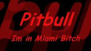 Pitbull - Im in Miami Bitch (Dj Thomas Sena)