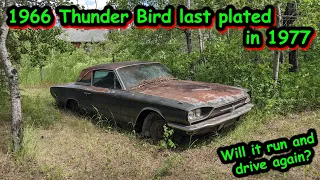 Reviving a 1966 Thunder Bird last driven in 1977. Will it run and drive?