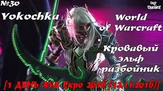 №30 - Yokochka – WoW – Кровавый эльф разбойник [1 ДЕНЬ AVA Expo 2016 (12.11.2016)]