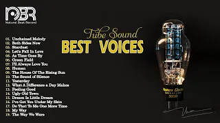 Best Audiophile Voices & Tube Sound for Audio Test - Natural Beat Records