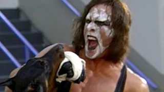 10 Things Everybody Gets Wrong About WCW