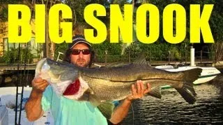 Do This NOW to Catch Big SNOOK
