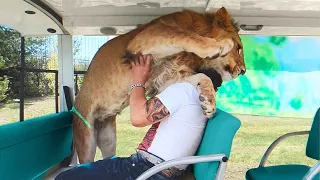 Most Emotional Animal Reunions With Owners After Years! | Best of 2023 !