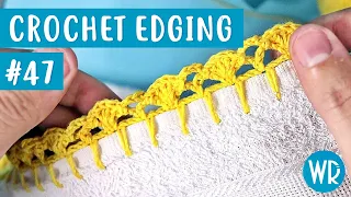 Crochet Edging for dishcloth #47# (In english) - Wagner Reis