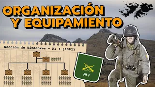 Malvinas: Regimiento de Infantería 4 (Organización y Equipamiento)