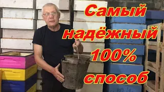 Как сохранить сушь от восковой моли Эффективность 100%