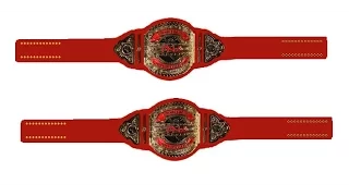 History of the TNA Knockouts Tag Team Championship