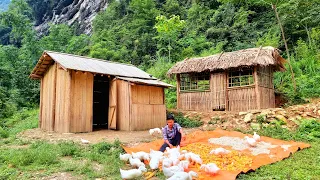 FULL VIDEO: 55 Days to Building a Kitchen and a Bamboo House . From start to finish