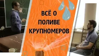 АВТОПОЛИВ для ДЕРЕВЬЕВ - КАК их правильно ПОЛИВАТЬ? | Рекомендации от специалиста из МГУ