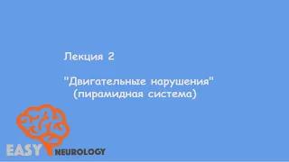 Общая неврология. Лекция 2 "Двигательные нарушения" (пирамидная система)