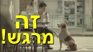 פרסומת תאילנדית נדירה שתגרום לך לבכות מהתרגשות