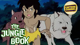 The Jungle Book // Episode 30 // Free Cartoons for Kids // Adventure Toons // Animated Series