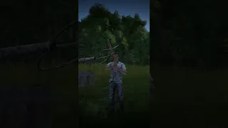 When Bow meets Arrow in DayZ...