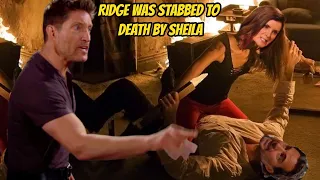 Ridge was stabbed to death by Sheila The Bold and the Beautiful Spoilers