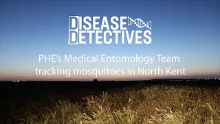 Disease Detectives – PHE’s Medical Entomology Team tracking mosquitoes in North Kent