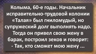 Начальник Колонии "Талая" Привел свою Жену к Зєкам! Сборник Самых Свежих Анекдотов! Юмор!