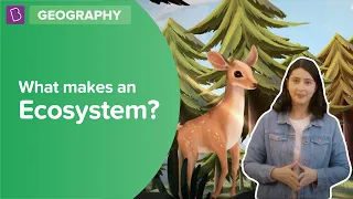 What Makes An Ecosystem? | Class 7 - Geography | Learn with BYJU'S