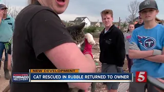 Missing cat rescued in rubble after tornado returned to owner