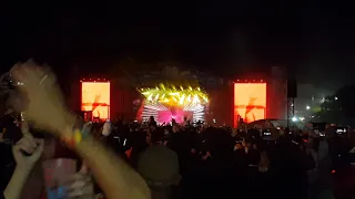 VIEILLES CHARRUES 2019 - MARTIN GARRIX ANIMALS