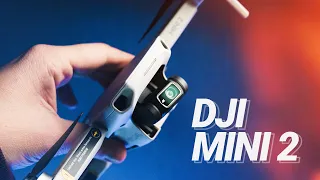 Обзор DJI MINI 2 Fly More Combo. Действительно лучше, чем Mavic Mini?