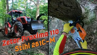 Logging with Stihl ms 261 C-M, Trakror Zetor Proxima 110 plus, Amles, Work in the forest