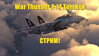 F-14 Tomcat | Симуляторные бои | Стрим в WarThunder