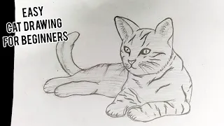 How To Draw A Cat || Easy Step By Step Cat Drawing For Beginners