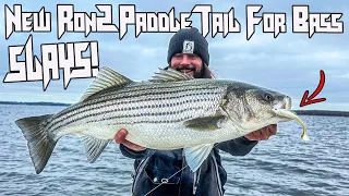 The New RonZ Paddle Tail SLAYS Early Season Striped Bass (ft Woozy)