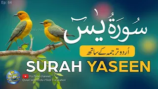 Surah Yaseen / Yasin full with Urdu Tarjuma | Tilawat | Episode 64 | Quran with Urdu Translation