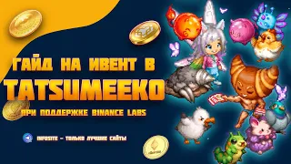 Заработок в дискорде крипто игра Tatsumeeko при поддержке Binance Labs