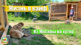 #203 КУПИЛИ ДОМ В ДЕРЕВНЕ. Что и почём купили на рынке? Посадили виноград / Переезд на ЮГ России