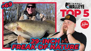 Target Walleye's Top 5 of the Week! 🔥 (Ep 69)