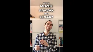 Je tvůj mozek pravák nebo levák? | Typologie osobnosti