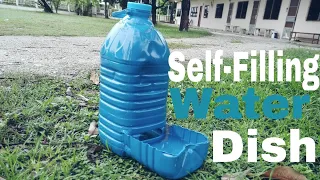 How to Make a Self-Filling Water Dish for Pets. ( diy automatic water bowl for your dog / cat)