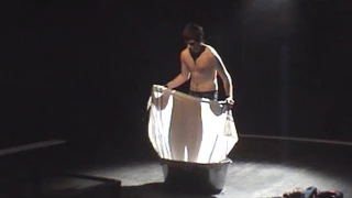Собиратель пуль. (театр "Практика", 2007)